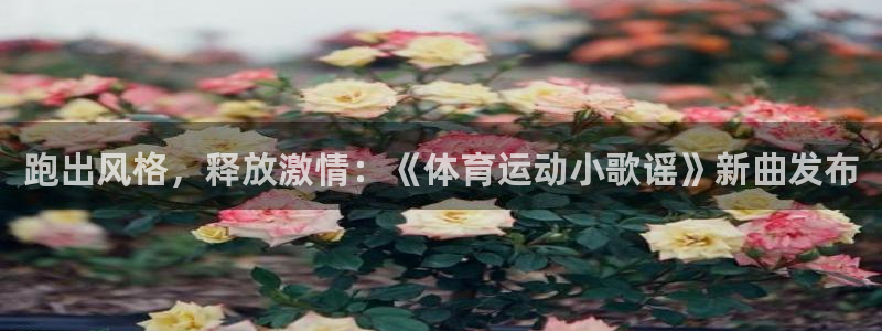 蓝鲸体育属于什么档次