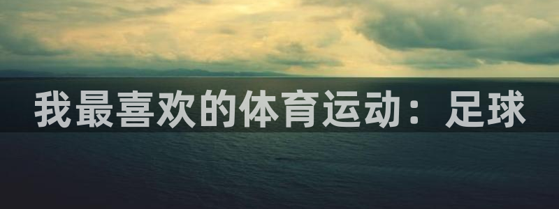 蓝鲸体育足球：我最喜欢的体育运动：足球