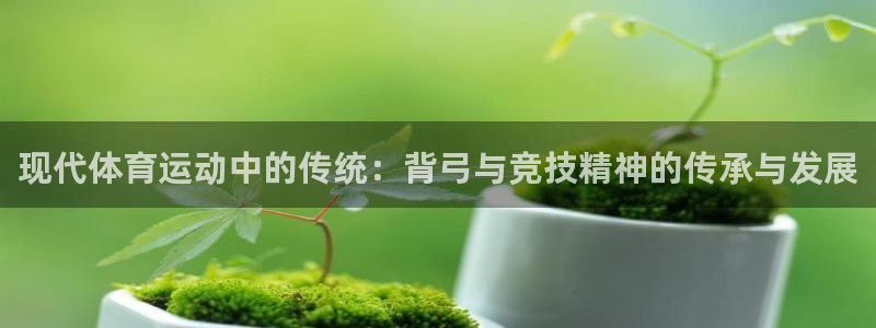 蓝鲸体育篮球
