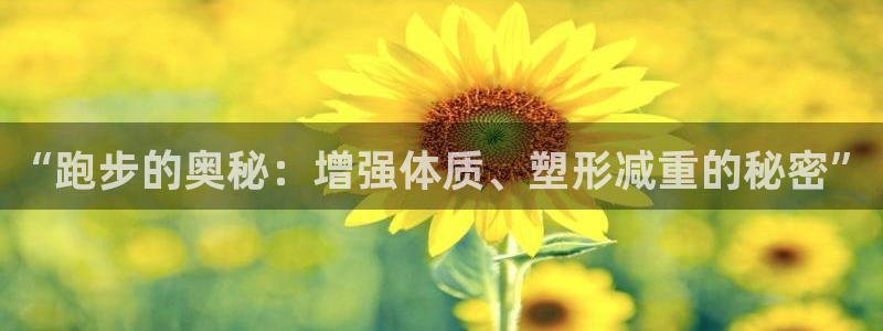 蓝鲸体育羽毛球直播
