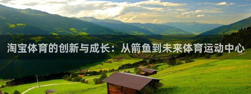 蓝鲸体育可馨：淘宝体育的创新与成长：从箭鱼到未来体育运动中心