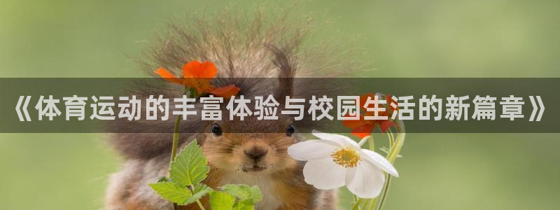 蓝鲸体育公司：《体育运动的丰富体验与校园生活的新篇章》