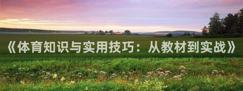 蓝鲸体育DK
