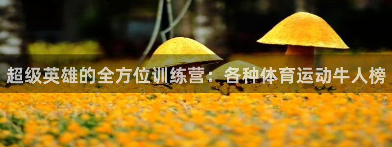 蓝鲸体育app官方入口
