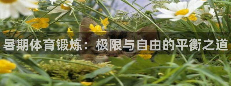 蓝鲸体育ios：暑期体育锻炼：极限与自由的平衡之道